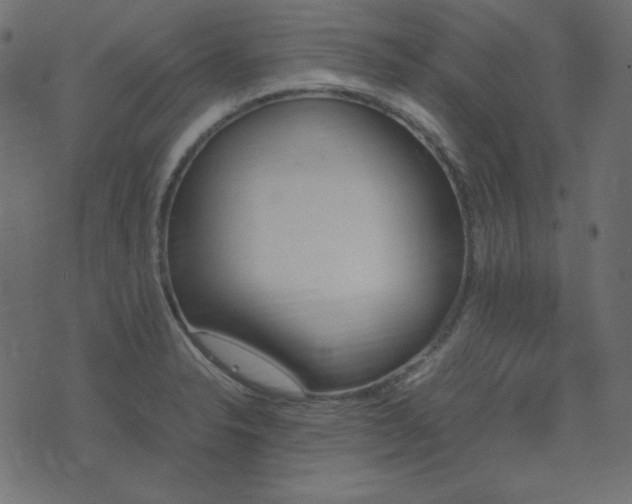 X0000074311326200608251226