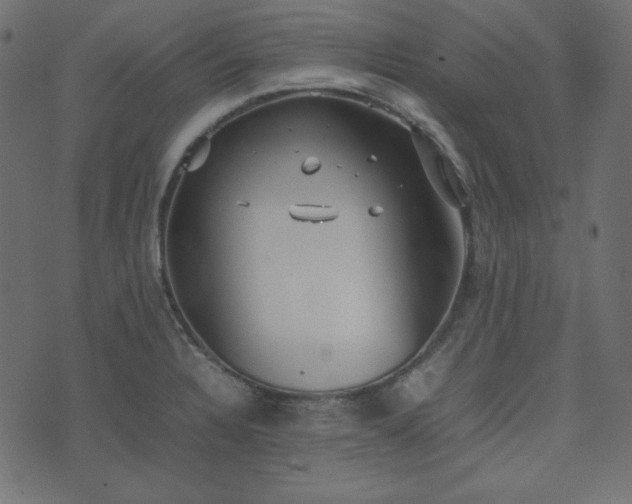 X0000074311328200608251226