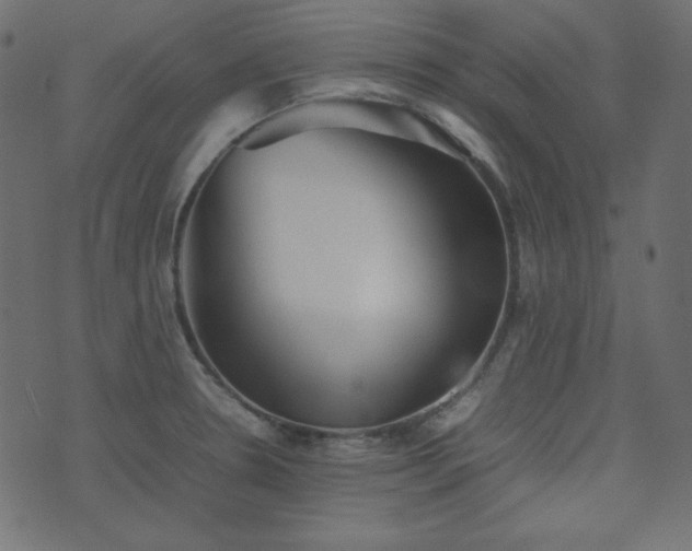 X0000074311330200608251226