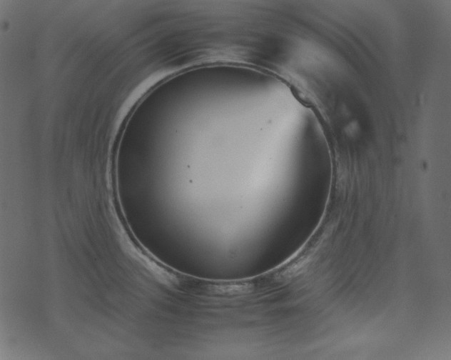 X0000074311339200608251226