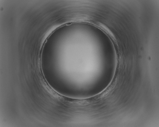 X0000074311340200608251226