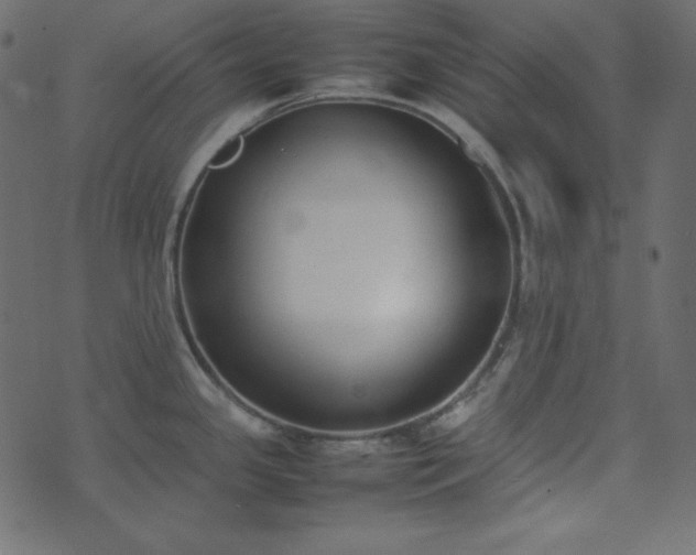 X0000074311341200608251226