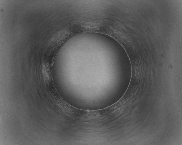 X0000074311346200608251225