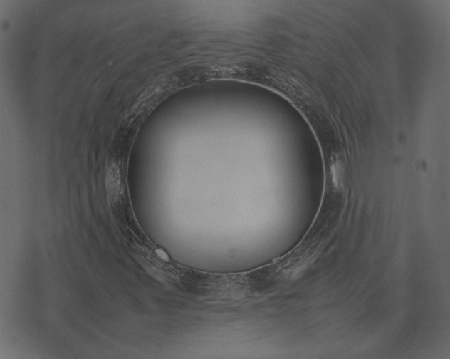 X0000074311347200608251225