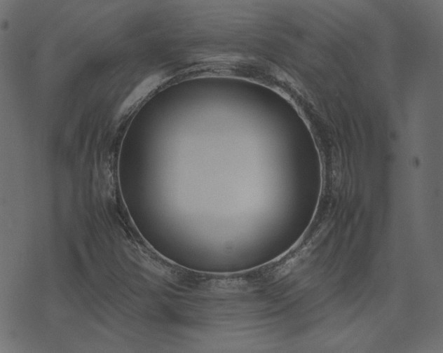 X0000074311354200608251225