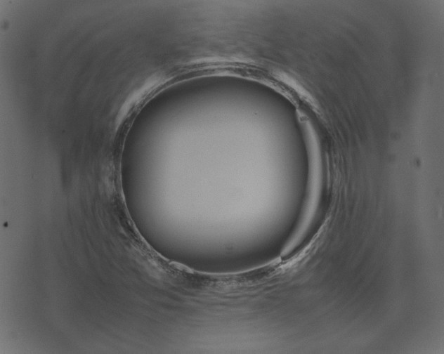 X0000074311357200608251225