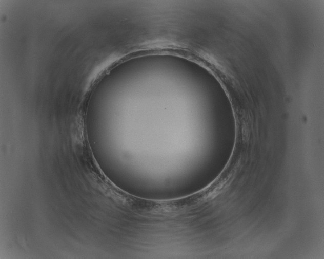 X0000074311358200608251225