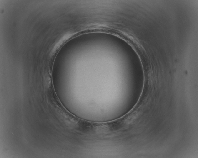 X0000074311363200608251225