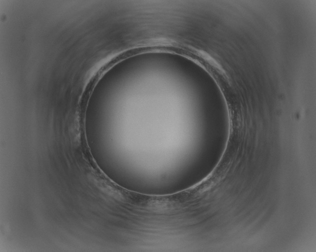 X0000074311364200608251225