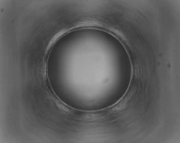 X0000074311366200608251225