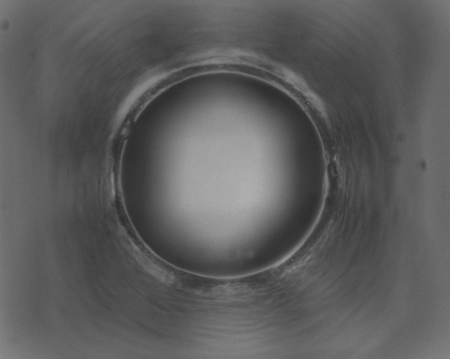 X0000074311368200608251225