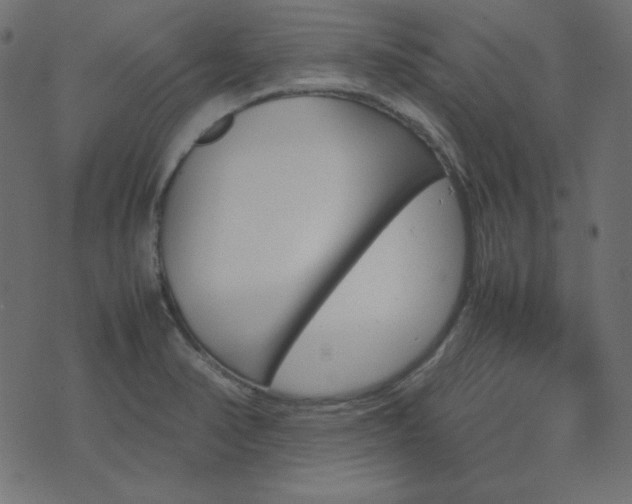 X0000074311374200608251225