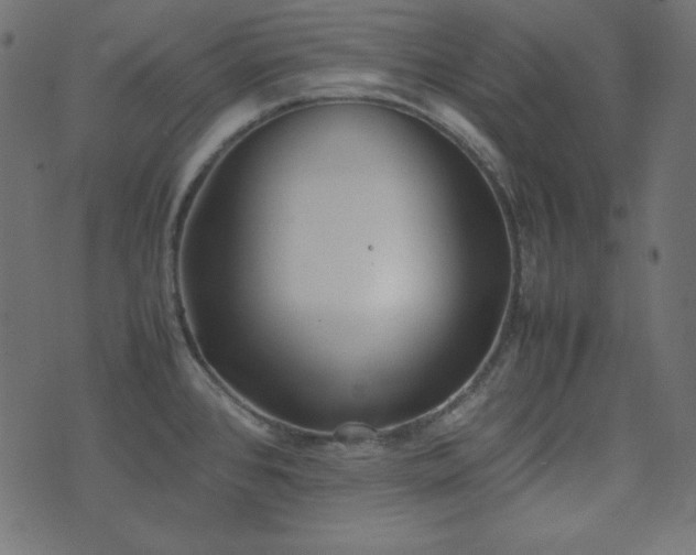 X0000074311384200608251224