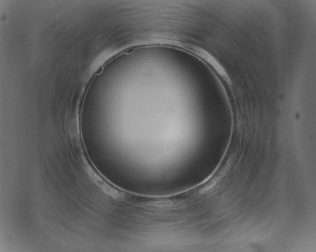 X0000074311388200608251224