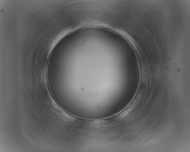 X0000074311390200608251224