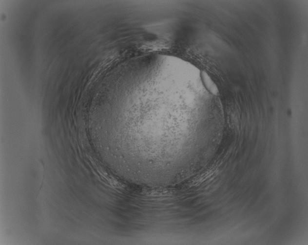 X0000074311393200608251224