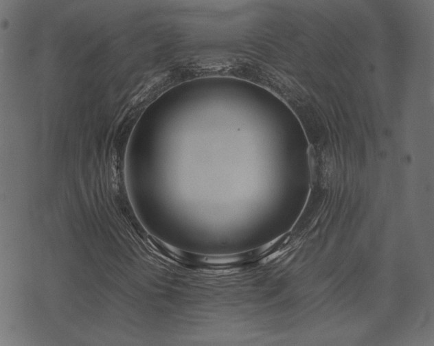 X0000074311394200608251224