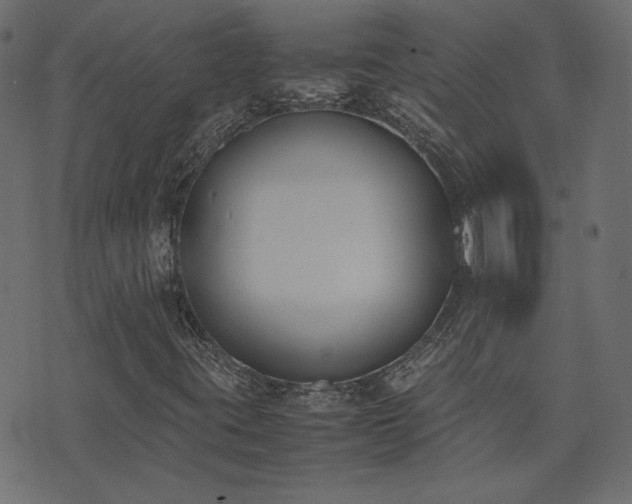 X0000074311395200608251224