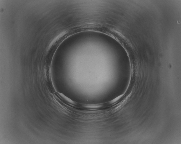 X0000074311402200608251224