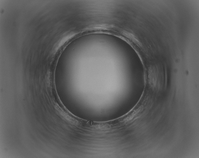X0000074311404200608251224