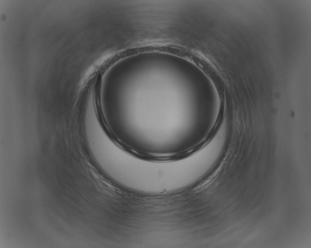 X0000074311406200608251224