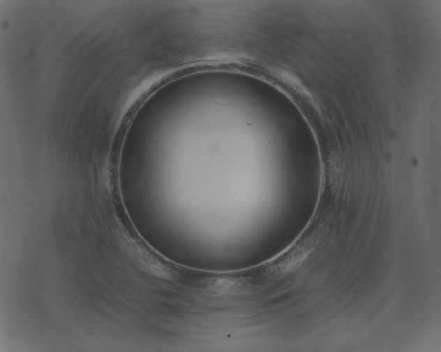 X0000074311412200608251224