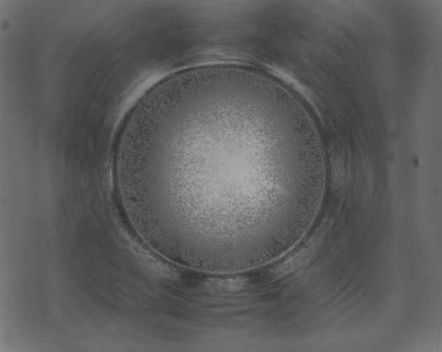 X0000074311415200608251224
