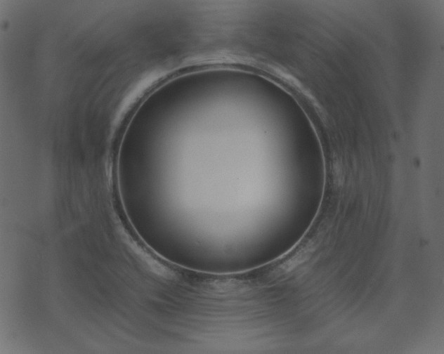 X0000074311416200608251224