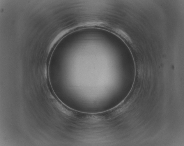 X0000074311420200608251224
