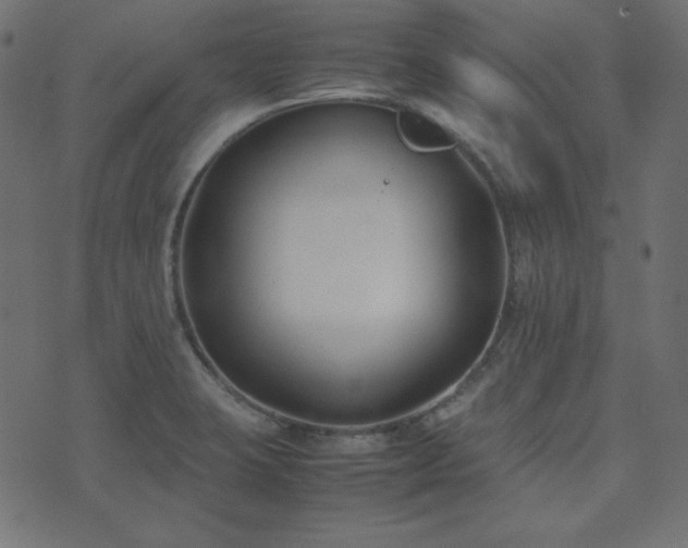 X0000074311423200608251224
