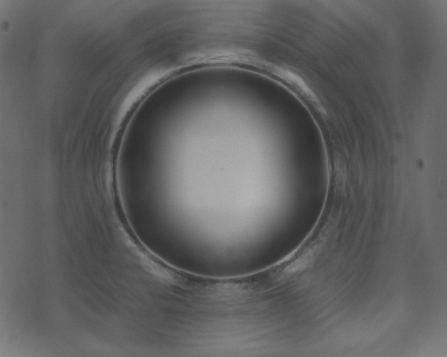 X0000074311424200608251224