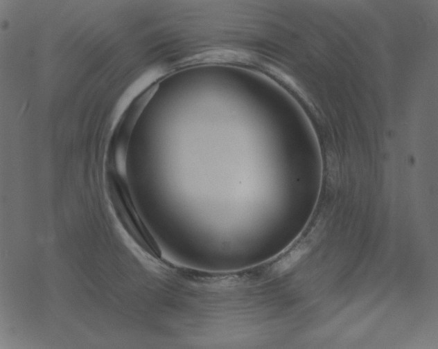 X0000074311426200608251224