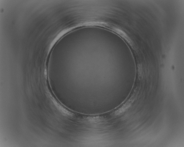 X0000074311428200608251224