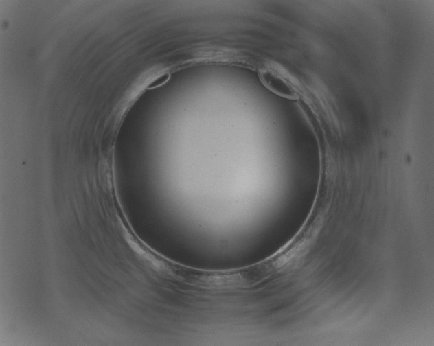 X0000074311433200608251224