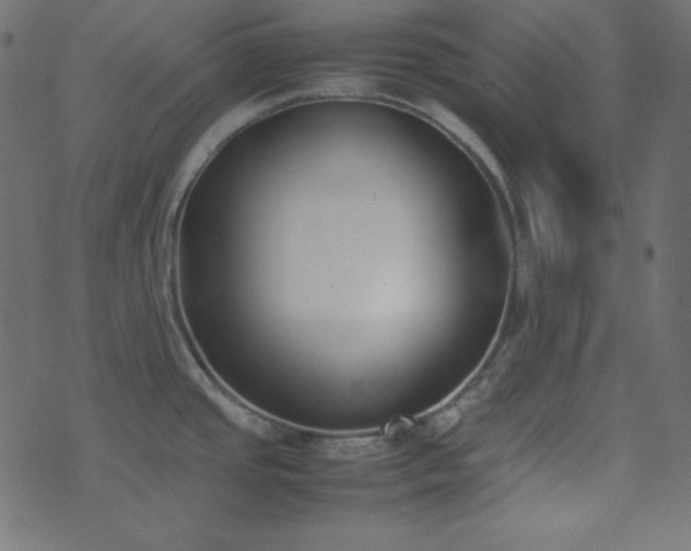 X0000074311437200608251224
