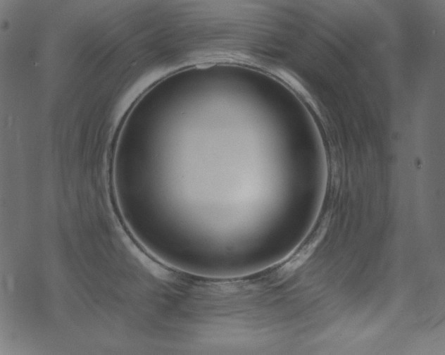X0000074311438200608251224