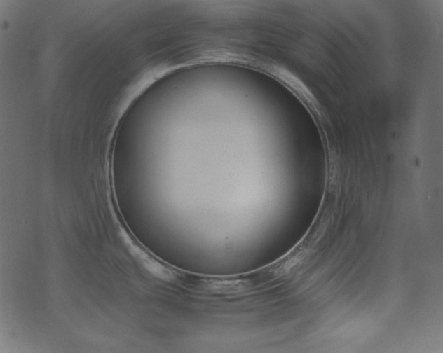 X0000074311439200608251224