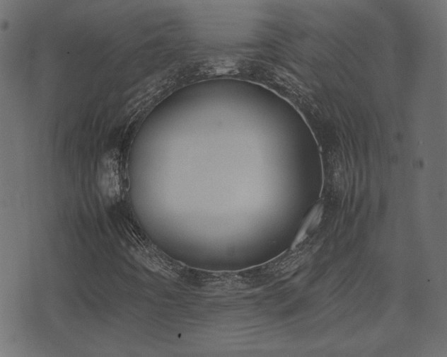 X0000074311442200608251224