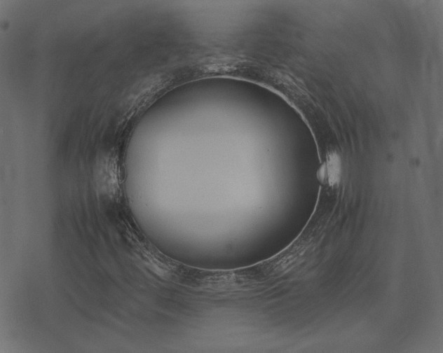 X0000074311444200608251223