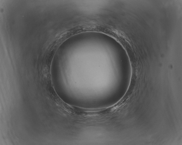 X0000074311445200608251223