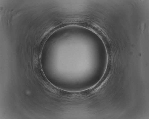 X0000074311449200608251223