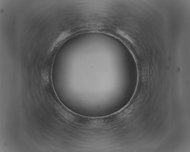 X0000074311451200608251223