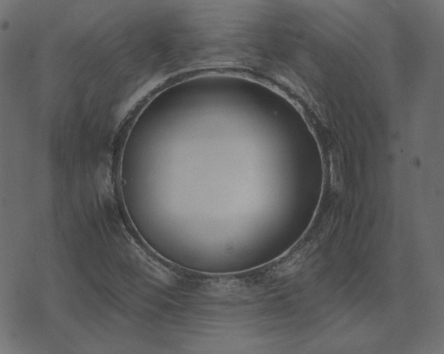 X0000074311452200608251223