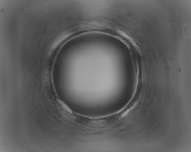 X0000074311453200608251223