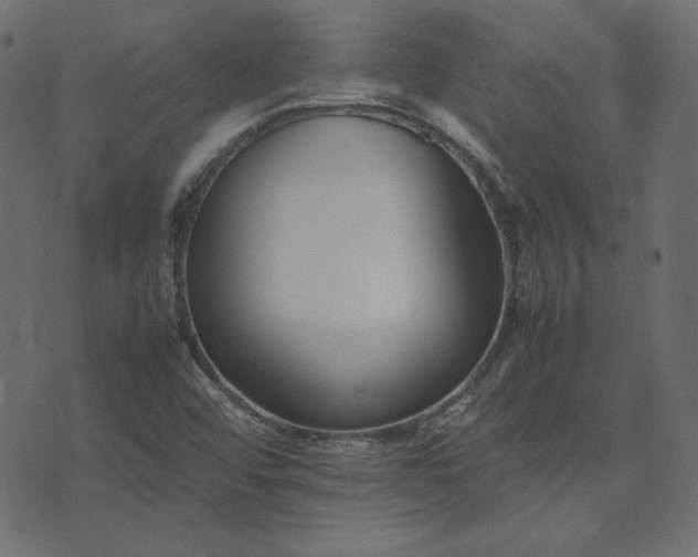 X0000074311456200608251223