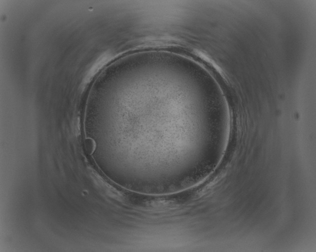 X0000074311459200608251223