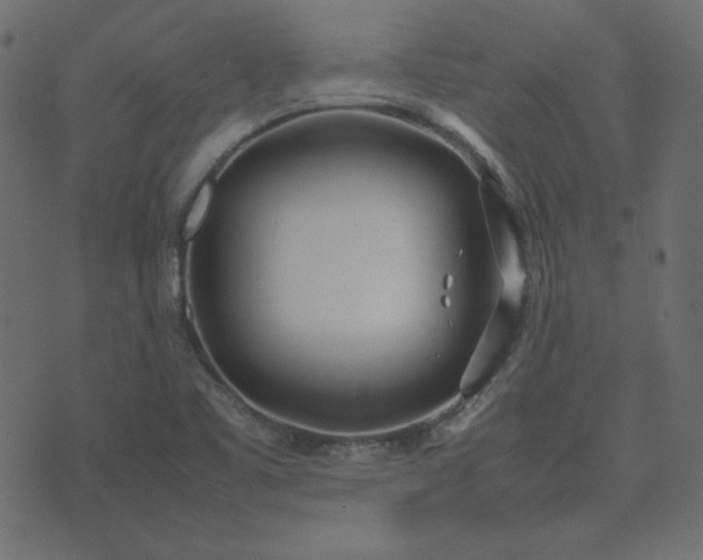 X0000074311461200608251223