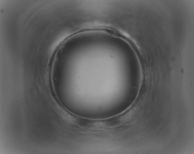 X0000074311463200608251223