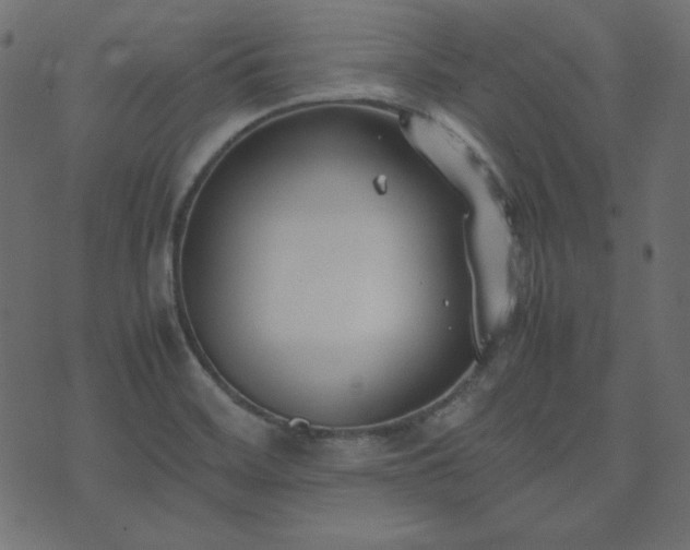 X0000074311468200608251223