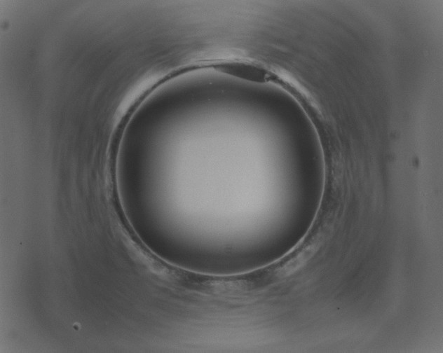 X0000074311469200608251223